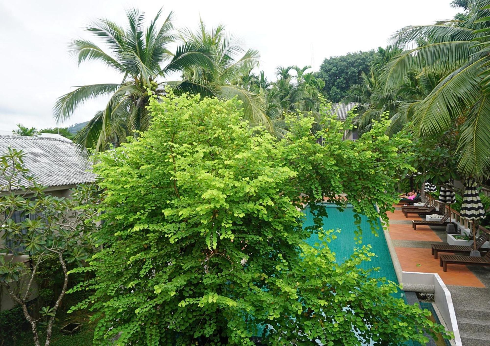 Signature Phuket Resort Chalong Exterior photo